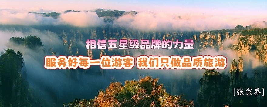 张家界中国旅行社办公场景图