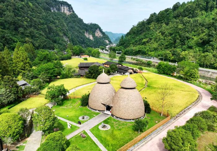 张家界黄龙洞景区稻谷金黄瓜果香,田园秋色醉游人 张家界黄龙洞景区稻谷金黄瓜果香,田园秋色醉游人