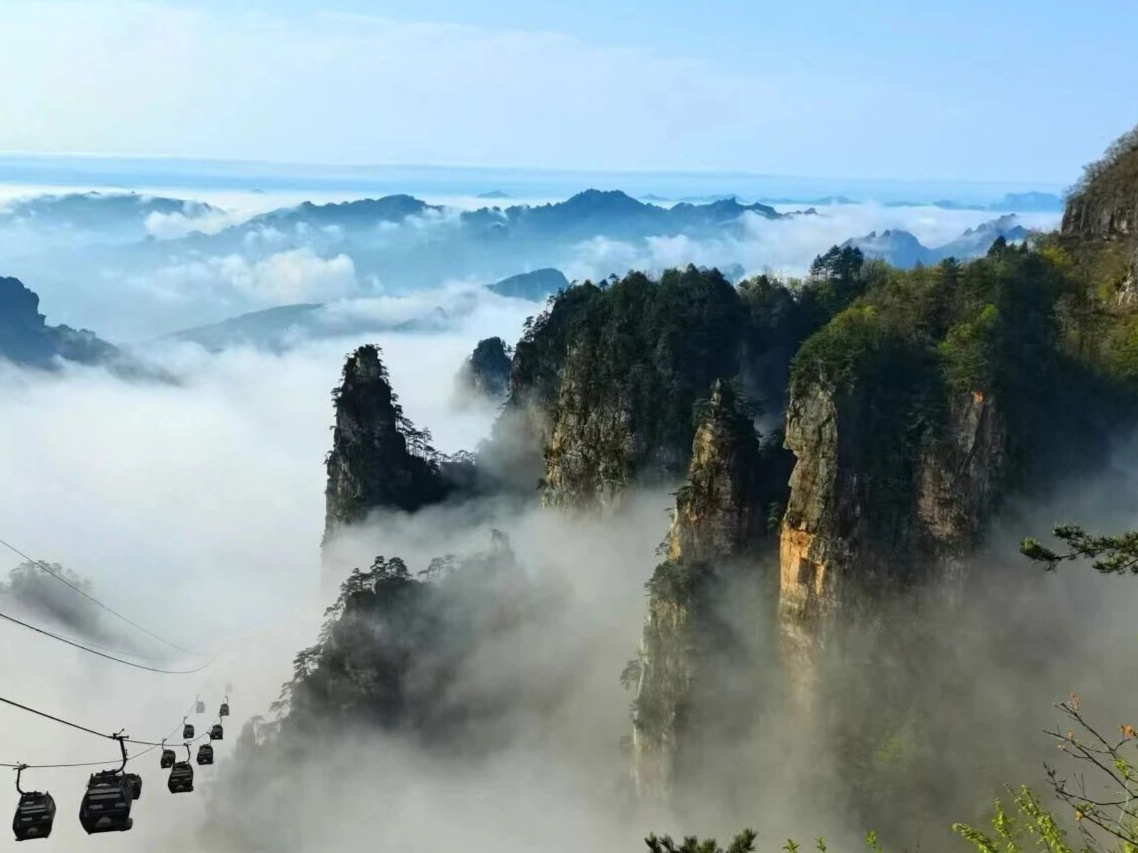 峰林初染 云海翻涌,张家界天子山进入秋日最佳观赏期 峰林初染 云海翻涌,张家界天子山进入秋日最佳观赏期